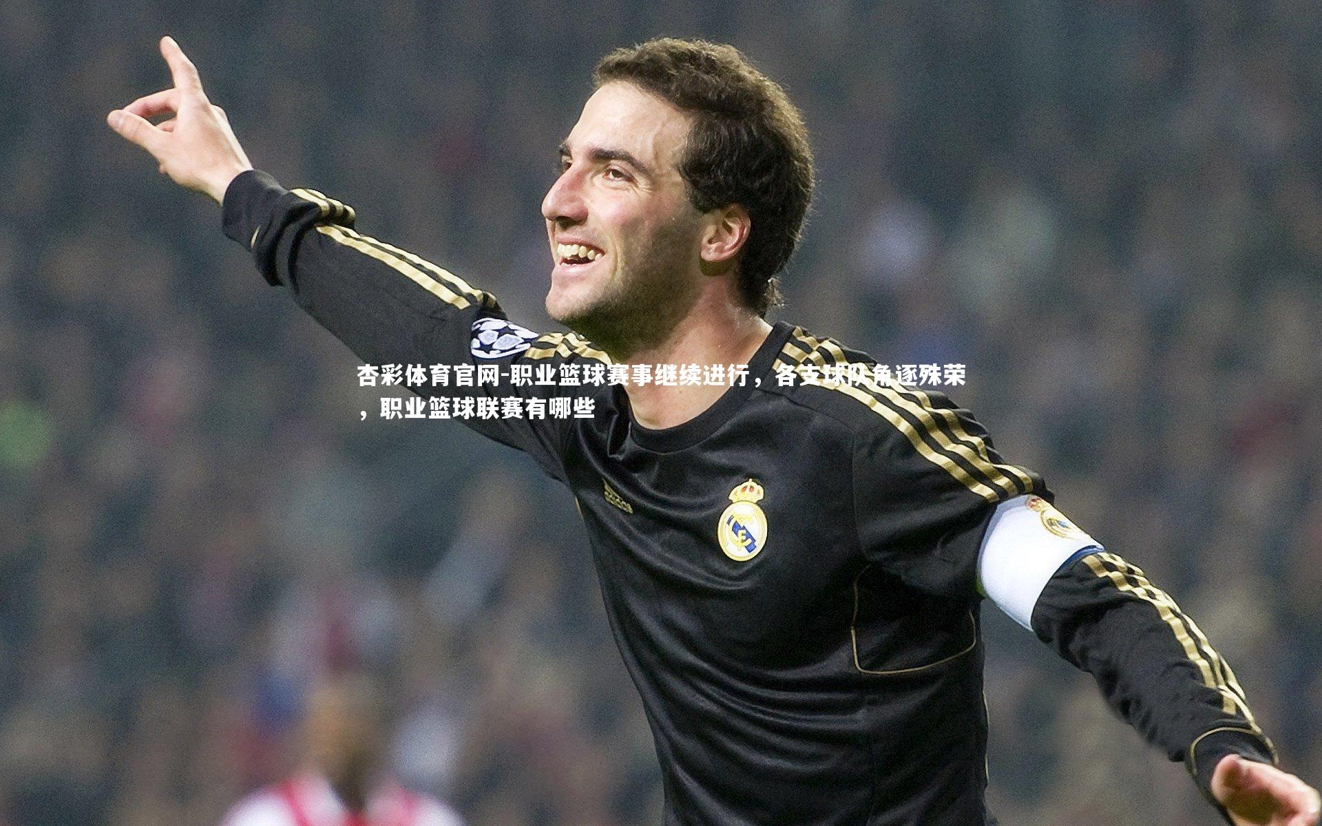 杏彩体育官网-职业篮球赛事继续进行，各支球队角逐殊荣，职业篮球联赛有哪些