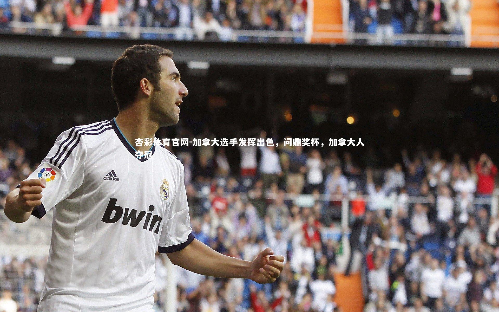 杏彩体育官网-加拿大选手发挥出色，问鼎奖杯，加拿大人夺冠