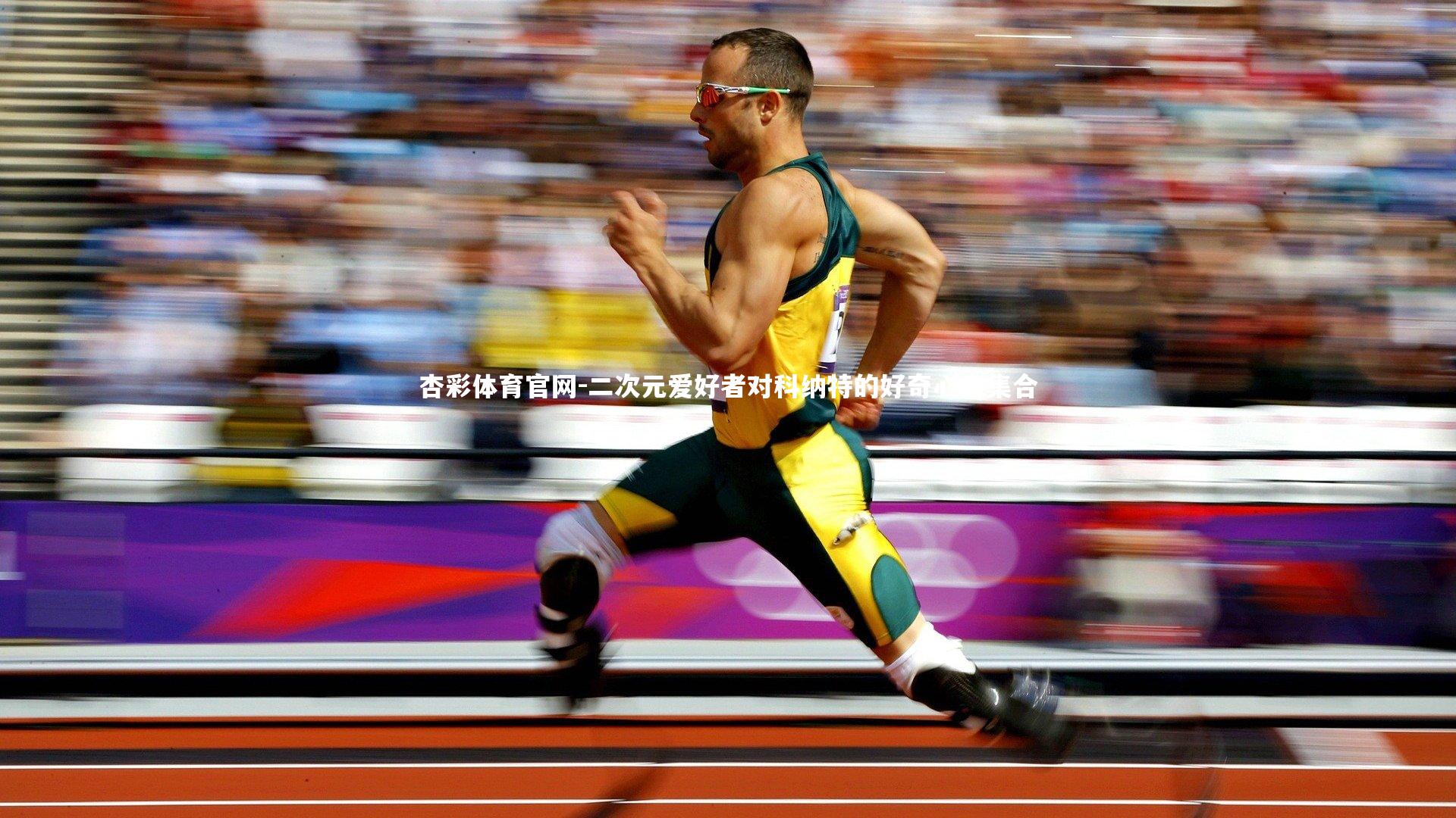 二次元爱好者对科纳特的好奇心大集合